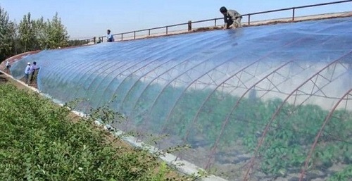 大棚吹膜用哪種增白劑？